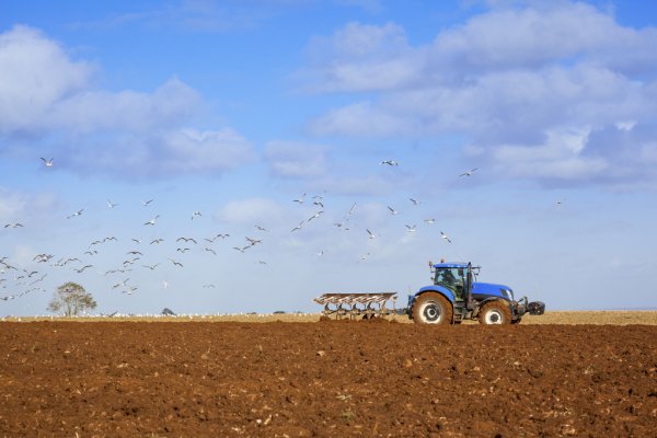 depositphotos_21687555-stock-photo-gulls-following-tractor-ploughing-field