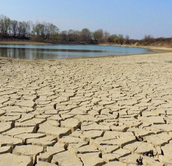 Meno agricoltura industriale e più buone pratiche agricole per salvare il clima. Il Manifesto di Via Campesina