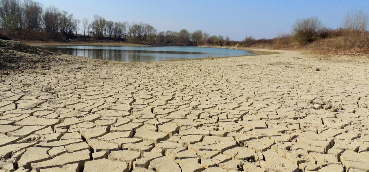 143202044-7fc1bece-6211-415e-9f1b-6f85b3f1fe1e