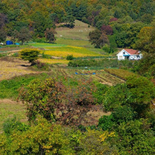 L’Agroecologia secondo il Coordinamento Europeo di Via Campesina
