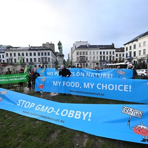 NGT. Lettera aperta di Via Campesina Europa: fermate la deregolamentazione.